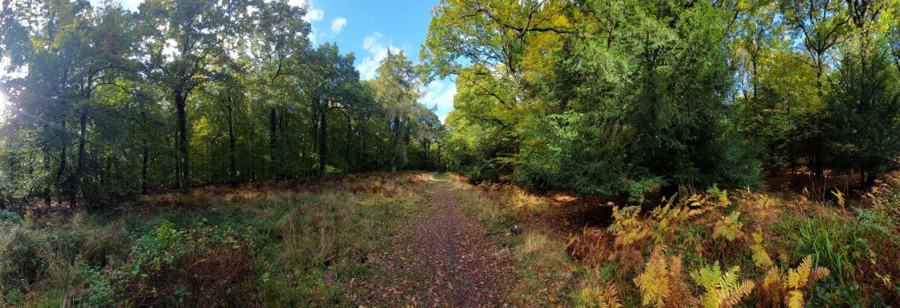 The Beehive - Self Catering In The Heart Of The Forest Of Dean Whitecroft Εξωτερικό φωτογραφία