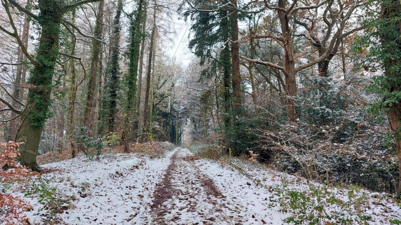 The Beehive - Self Catering In The Heart Of The Forest Of Dean Whitecroft Εξωτερικό φωτογραφία